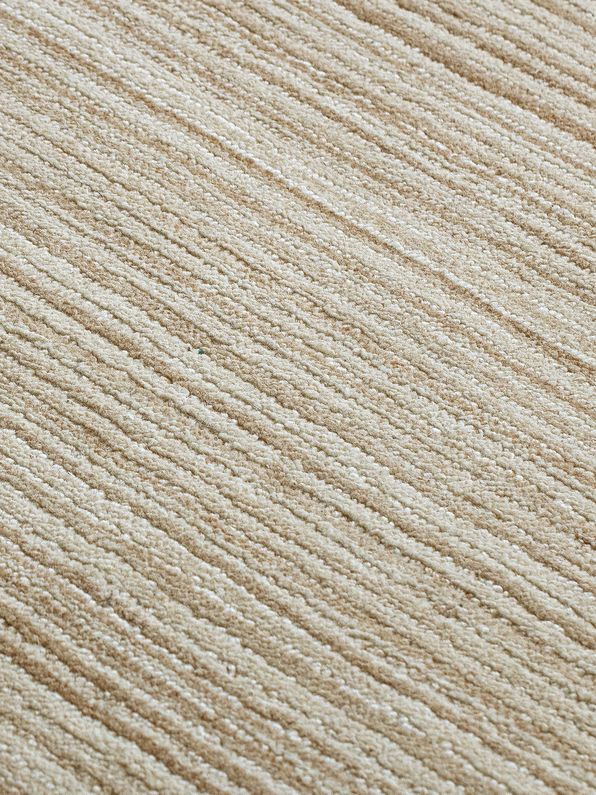 Timeless beige living room rug