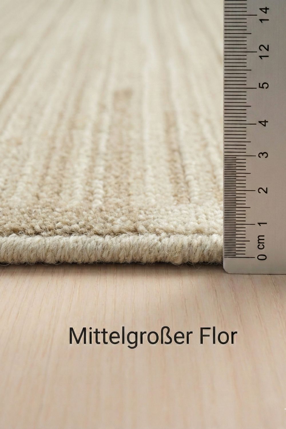 Timeless beige living room rug