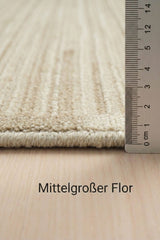 Timeless beige living room rug